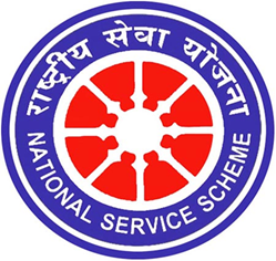 NSS Badge